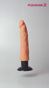 Realistic Silicone Dildo With Suction Base For Women And Couples Sex Toy Explainer Video
