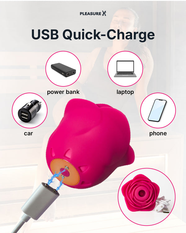 Rose clitores and nipple vibrator for women's charging options explained
